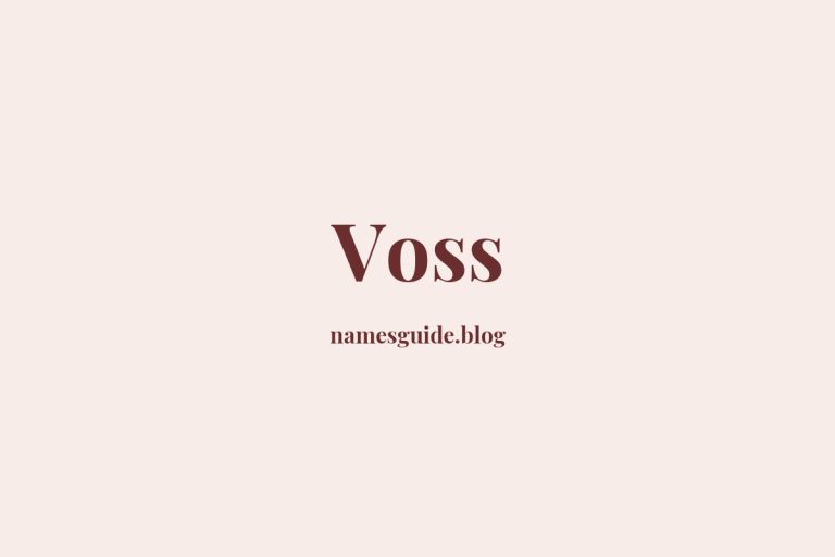 Origin and Meaning of Last Name Voss