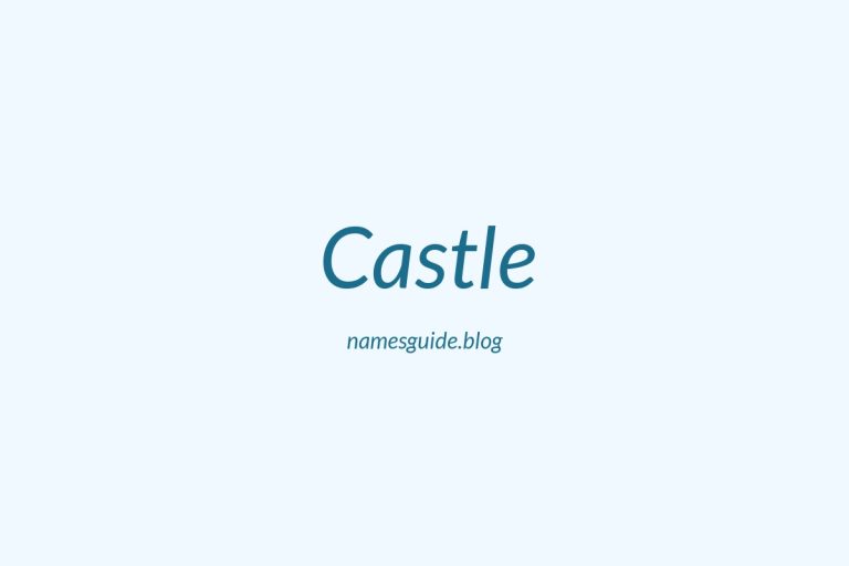 Origin and Meaning of Last Name Castle