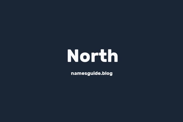 Origin and Meaning of Last Name North