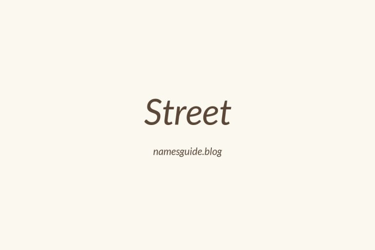 Origin and Meaning of Last Name Street