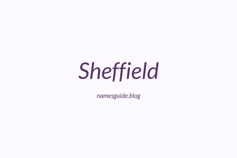 Origin and Meaning of Last Name Sheffield