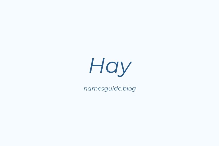 Origin and Meaning of Last Name Hay