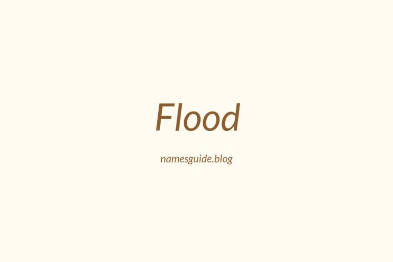 Origin and Meaning of Last Name Flood