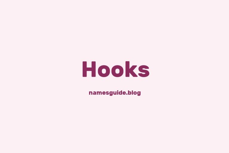Origin and Meaning of Last Name Hooks