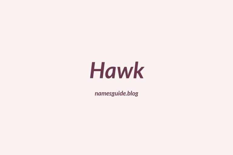 Origin and Meaning of Last Name Hawk