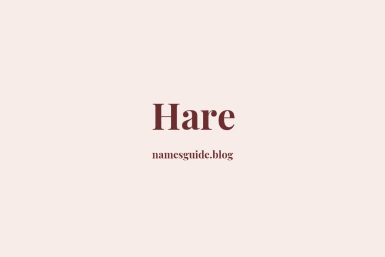 Origin and Meaning of Last Name Hare