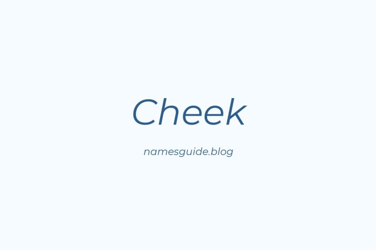 Origin and Meaning of Last Name Cheek