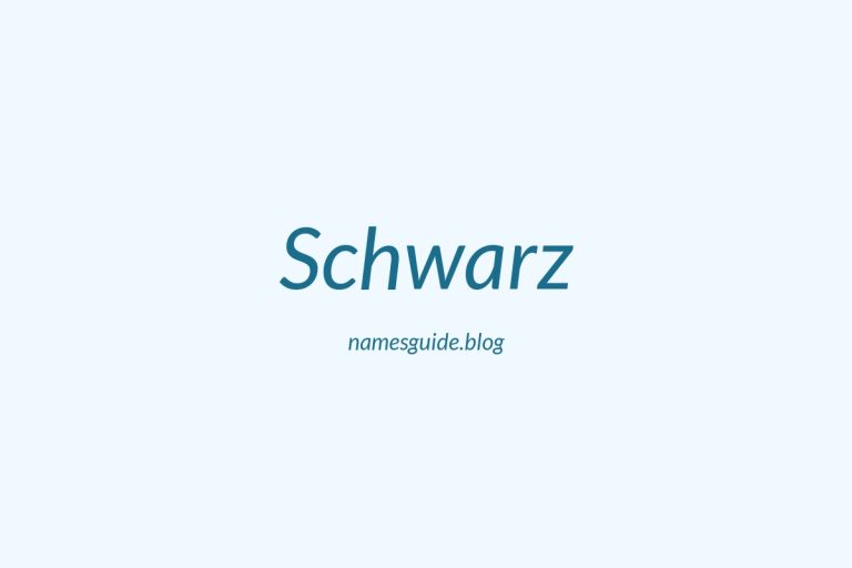 Origin and Meaning of Last Name Schwarz