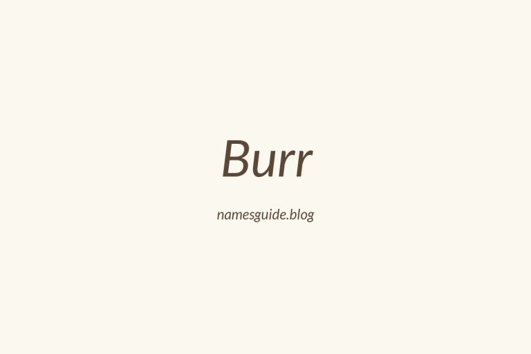Origin and Meaning of Last Name Burr